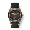Tudor Black Bay Series Bronze Watch