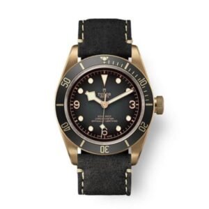 Tudor Black Bay Series Bronze Watch