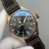 IWC Pilot's Watches