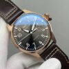 IWC Pilot's Watches