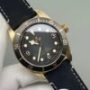 Tudor Black Bay Series Bronze Watch