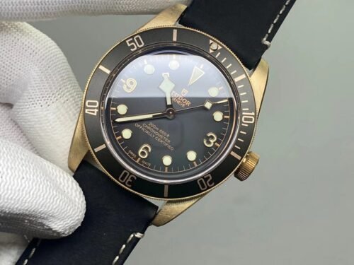 Tudor Black Bay Series Bronze Watch
