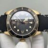 Tudor Black Bay Series Bronze Watch